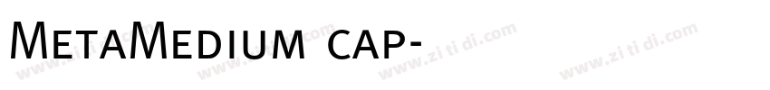 MetaMedium cap字体转换